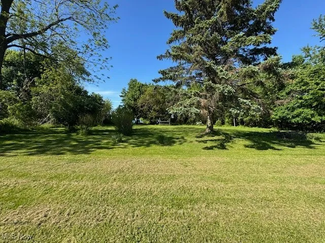 View of green lawn