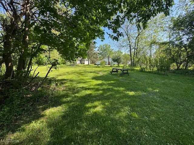 View of green lawn