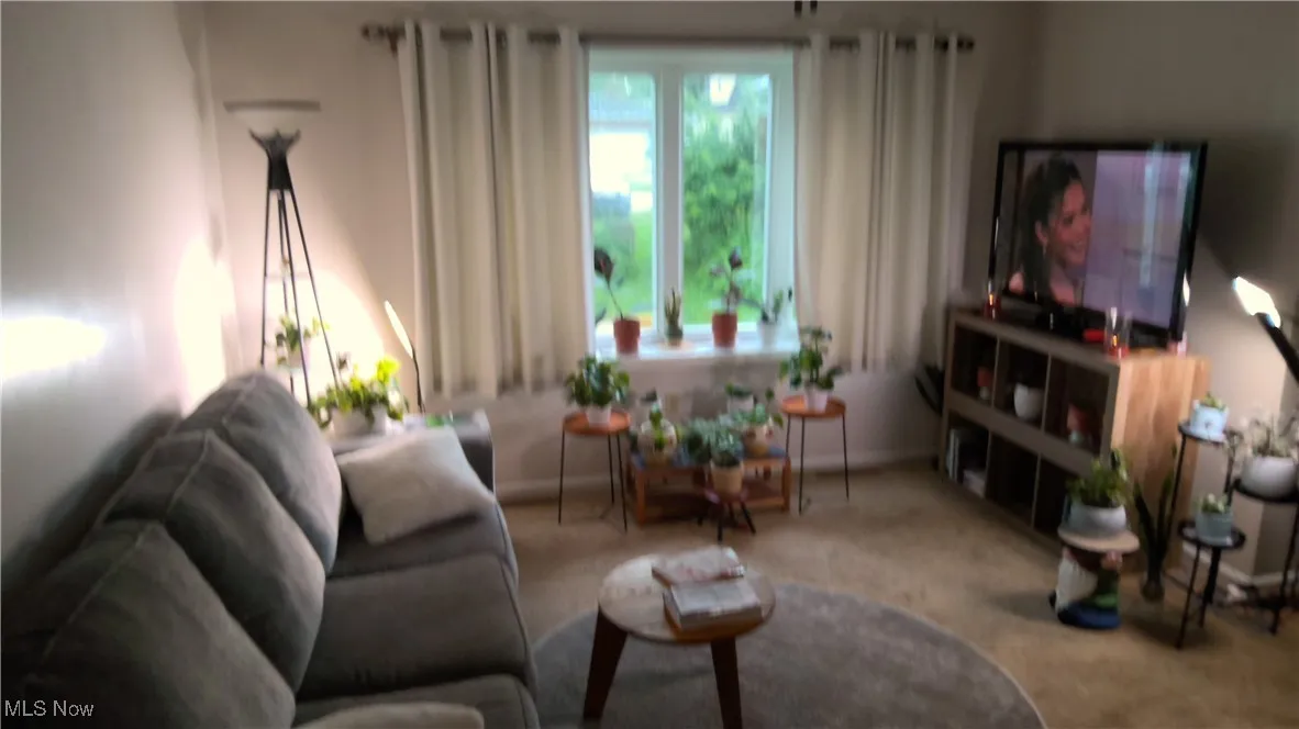 View of carpeted living area