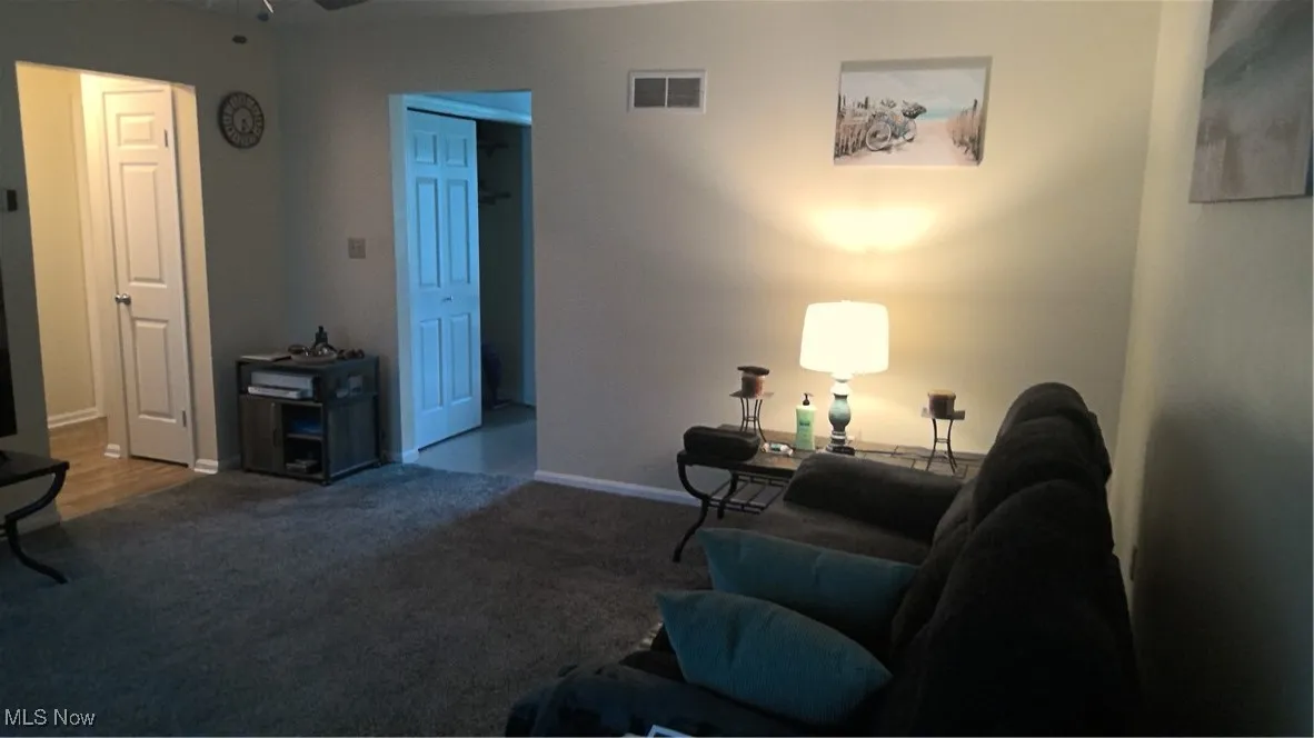 Living area featuring carpet and a ceiling fan