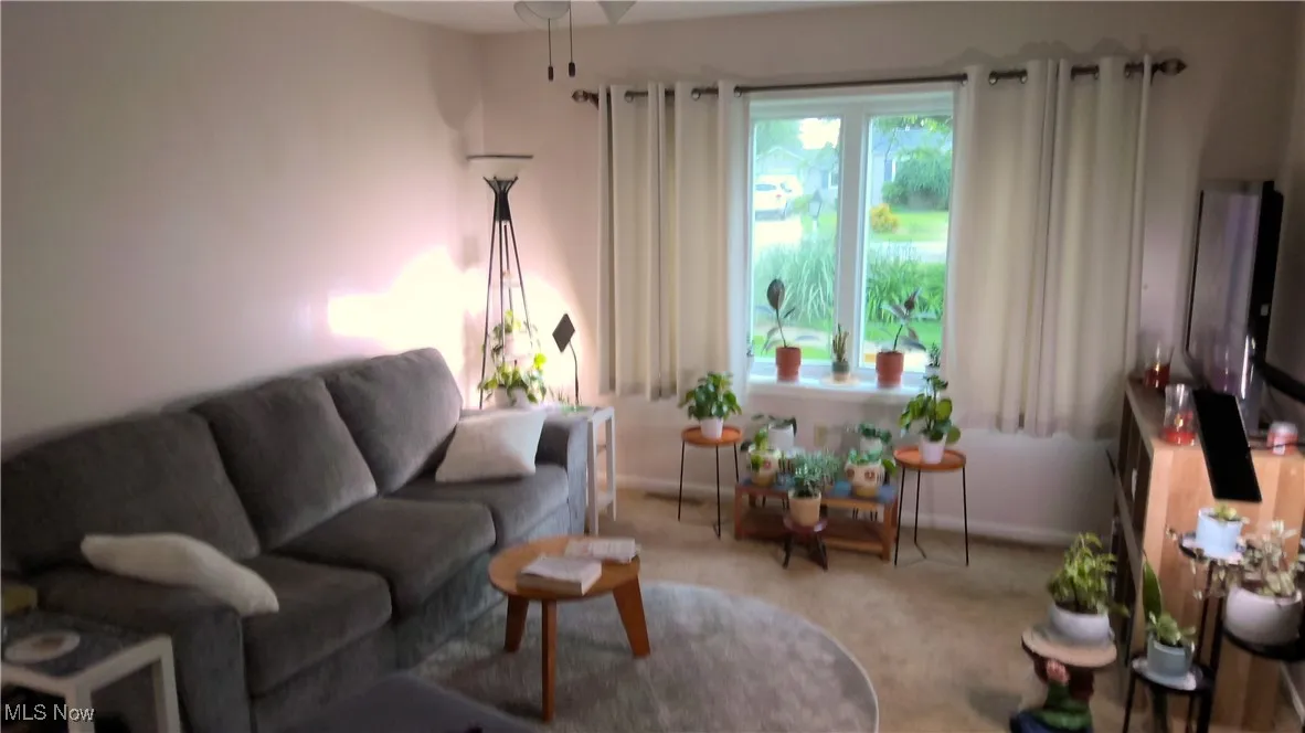 Living area featuring carpet flooring