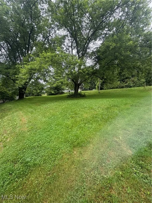 View of grassy yard