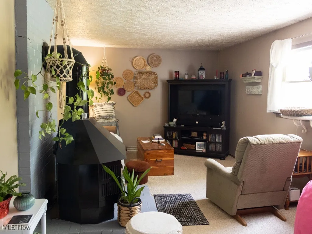 Living room featuring a textured ceiling and carpet