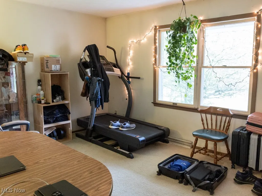 Workout room with carpet, radiator, and plenty of natural light