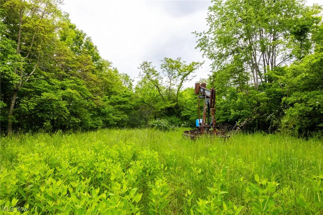 View of undeveloped land