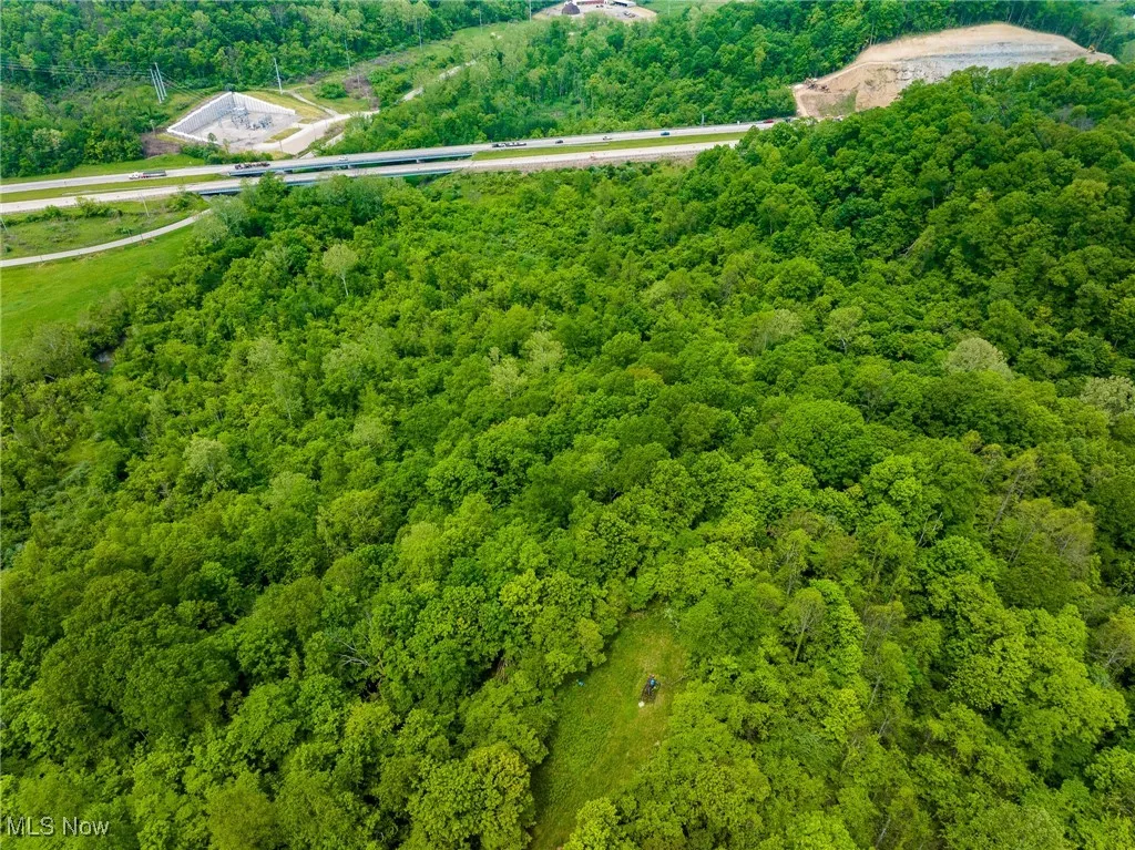 Aerial view of a forest