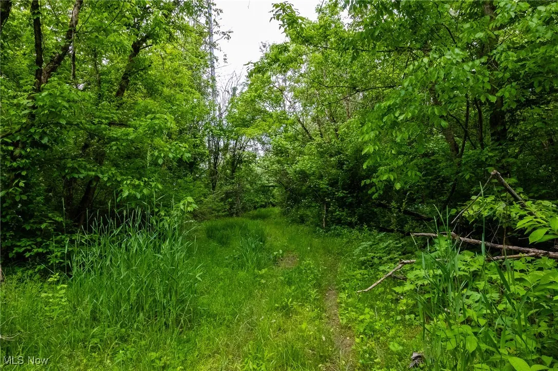 View of undeveloped land