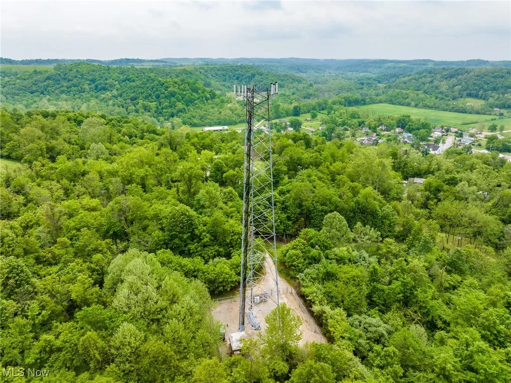 Aerial view of a forest