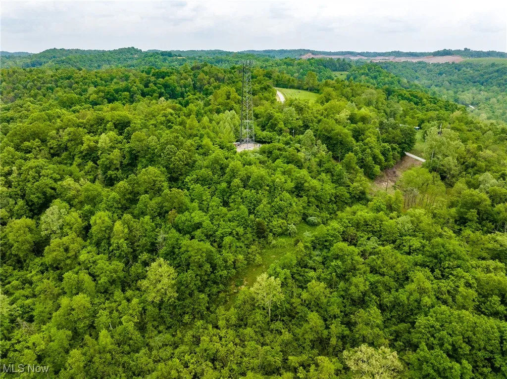 Bird's eye view of a heavily wooded area