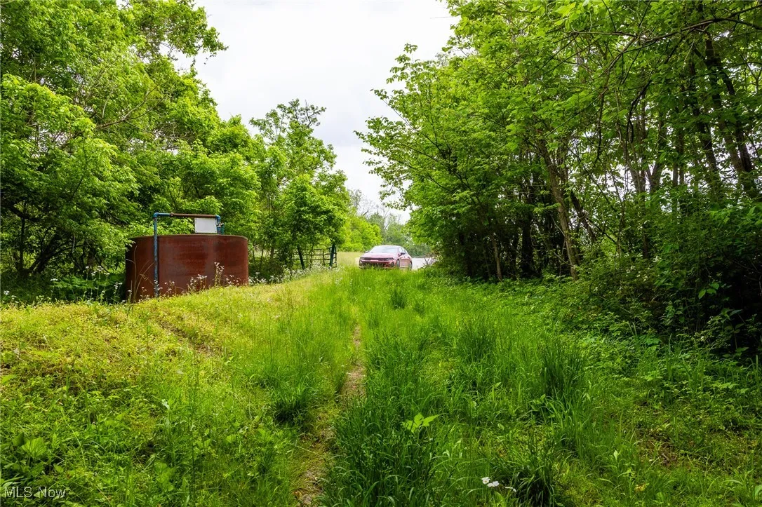 View of yard with an outdoor structure