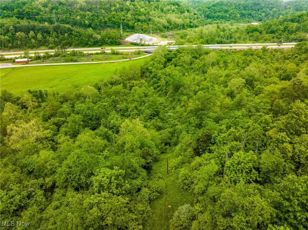 Drone / aerial view of a forest