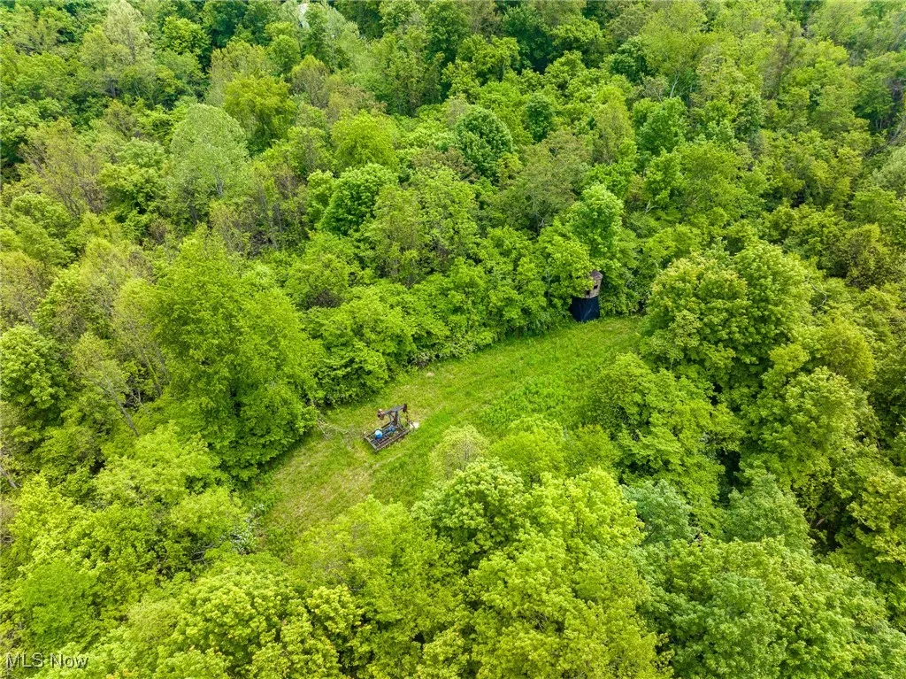 Drone / aerial view of a heavily wooded area