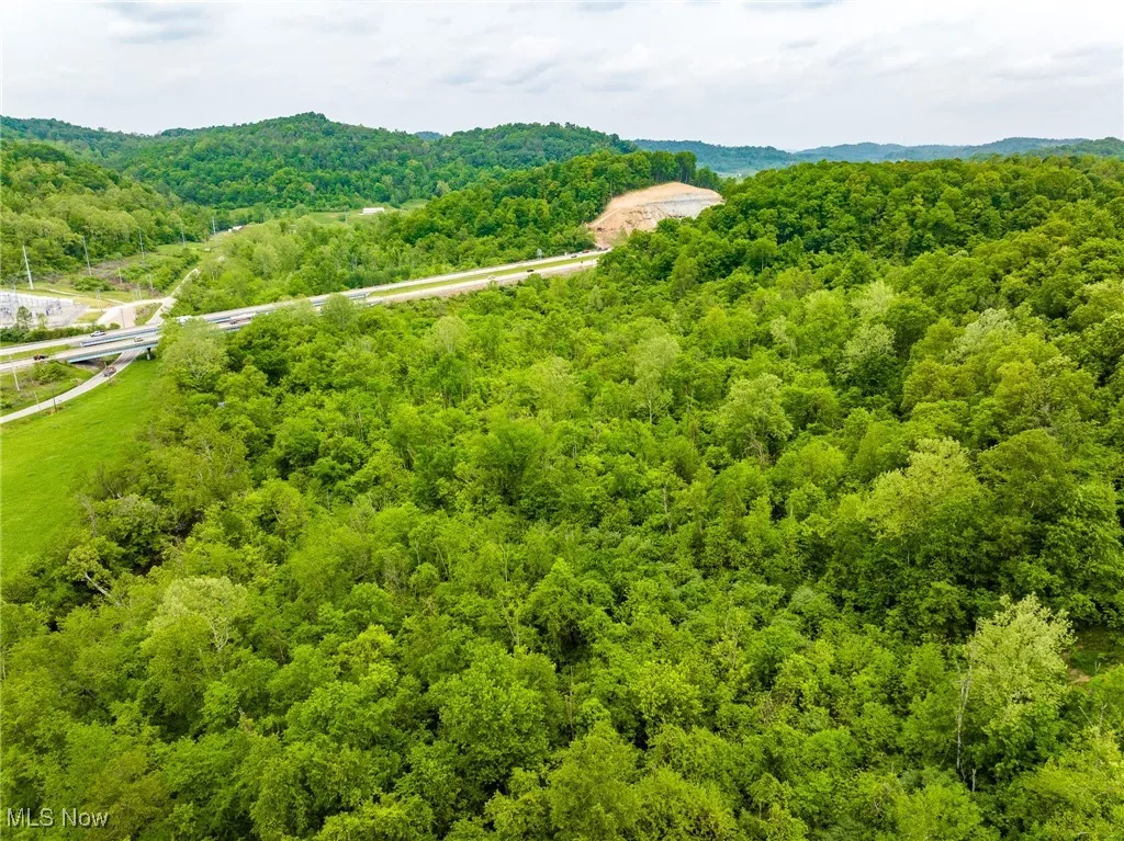 Aerial view of a forest