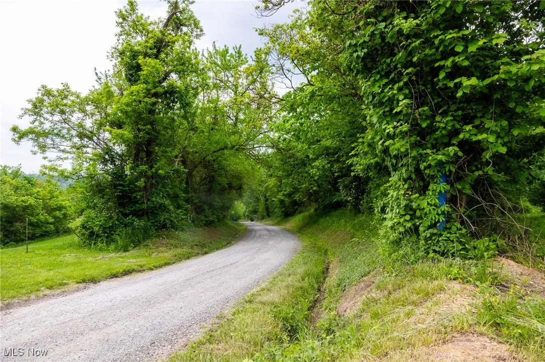 View of dirt / gravel road