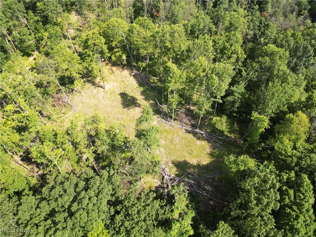 2115 Goss Fork Road, Whipple, Ohio,MLS Now Listing ID