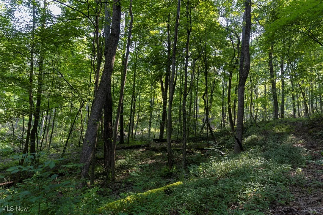 2115 Goss Fork Road, Whipple, Ohio,MLS Now Listing ID