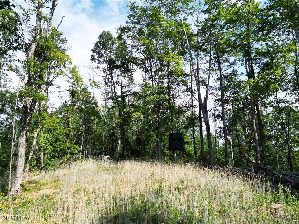 2115 Goss Fork Road, Whipple, Ohio,MLS Now Listing ID