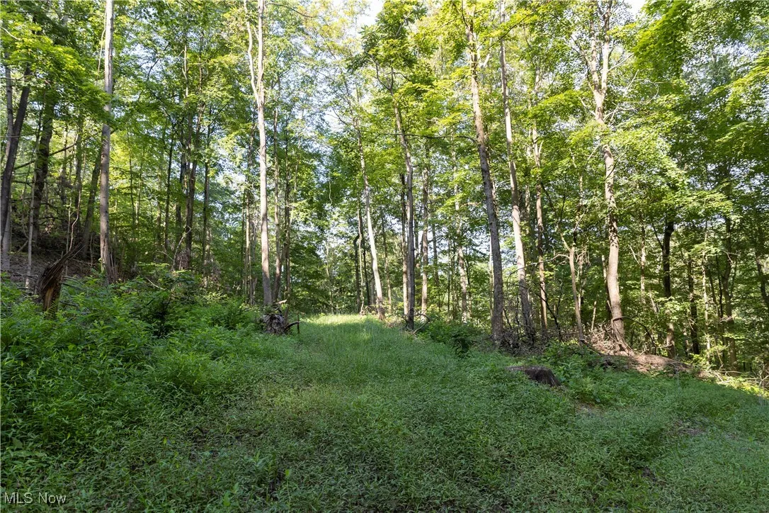 2115 Goss Fork Road, Whipple, Ohio,MLS Now Listing ID