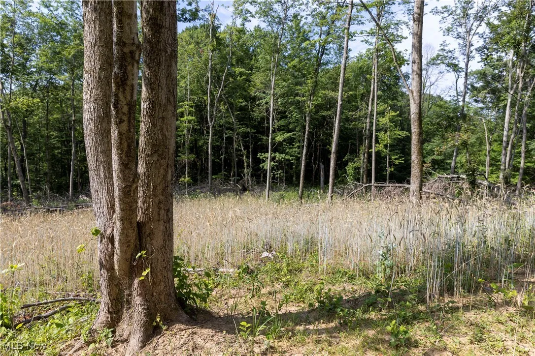 2115 Goss Fork Road, Whipple, Ohio,MLS Now Listing ID