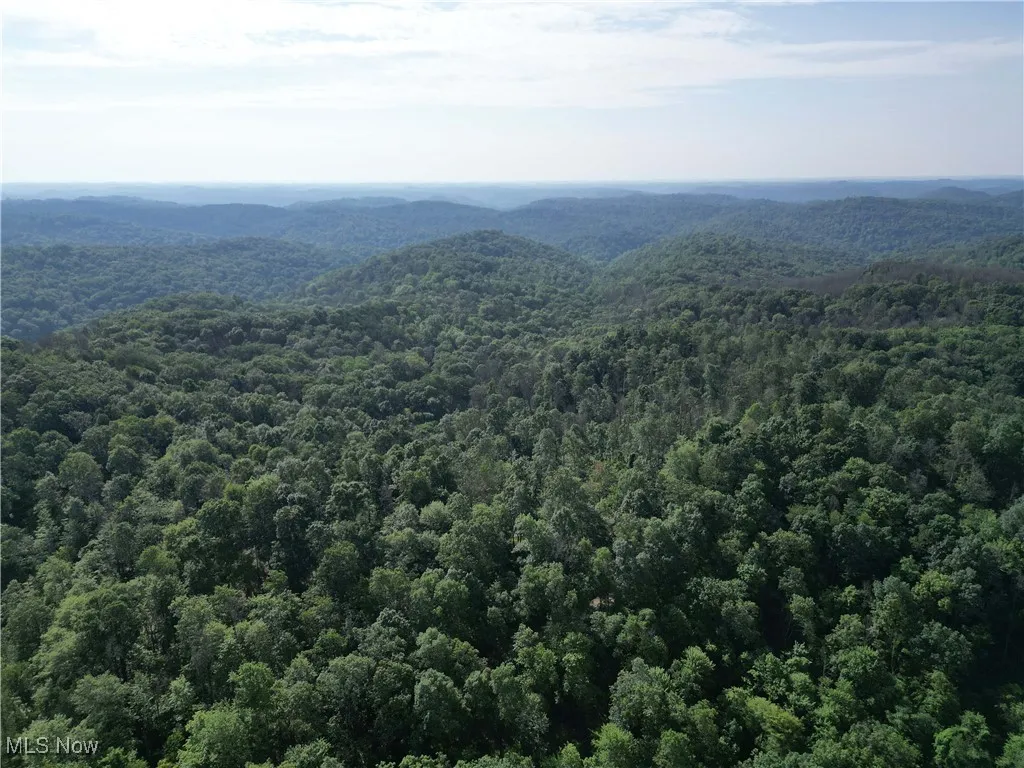 2115 Goss Fork Road, Whipple, Ohio,MLS Now Listing ID