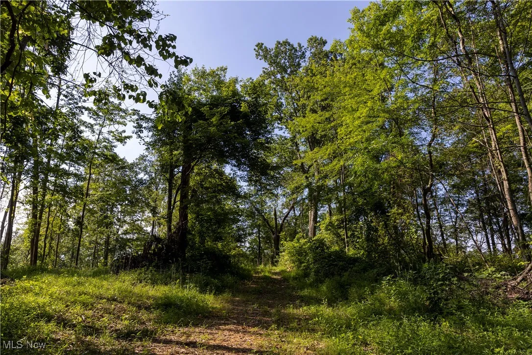 2115 Goss Fork Road, Whipple, Ohio,MLS Now Listing ID