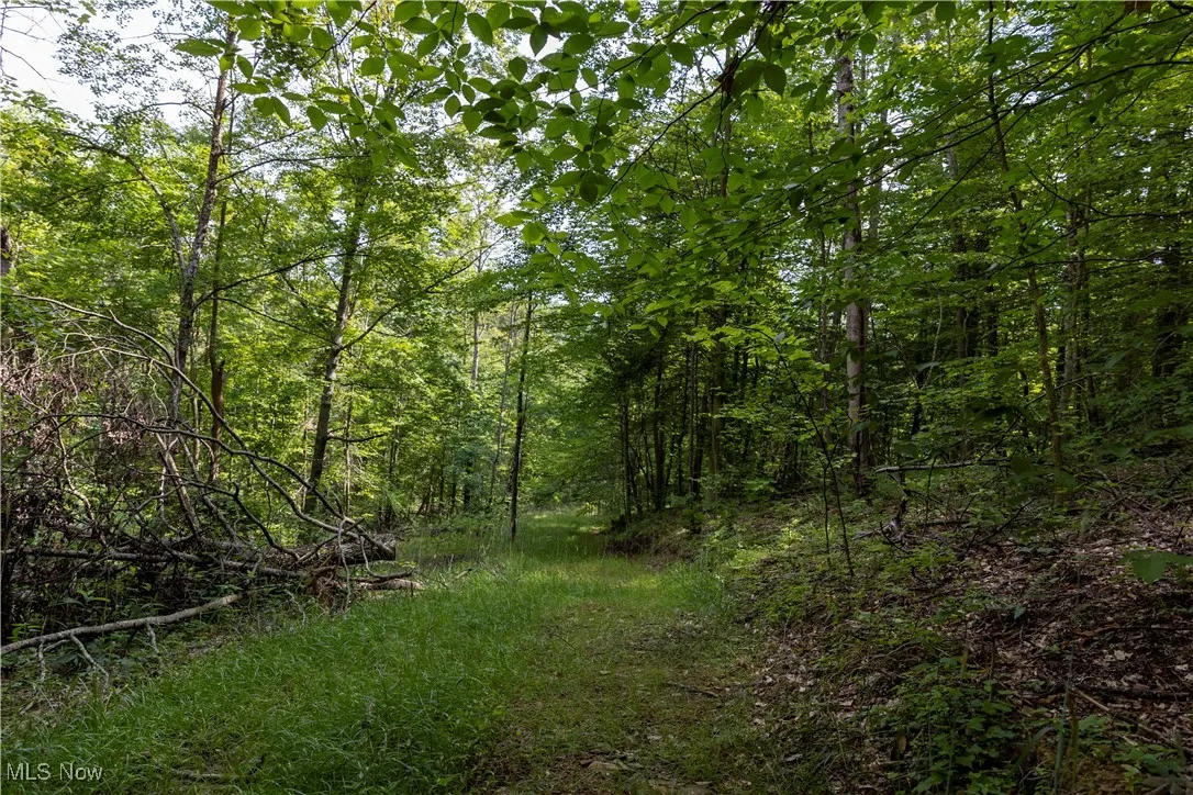2115 Goss Fork Road, Whipple, Ohio,MLS Now Listing ID