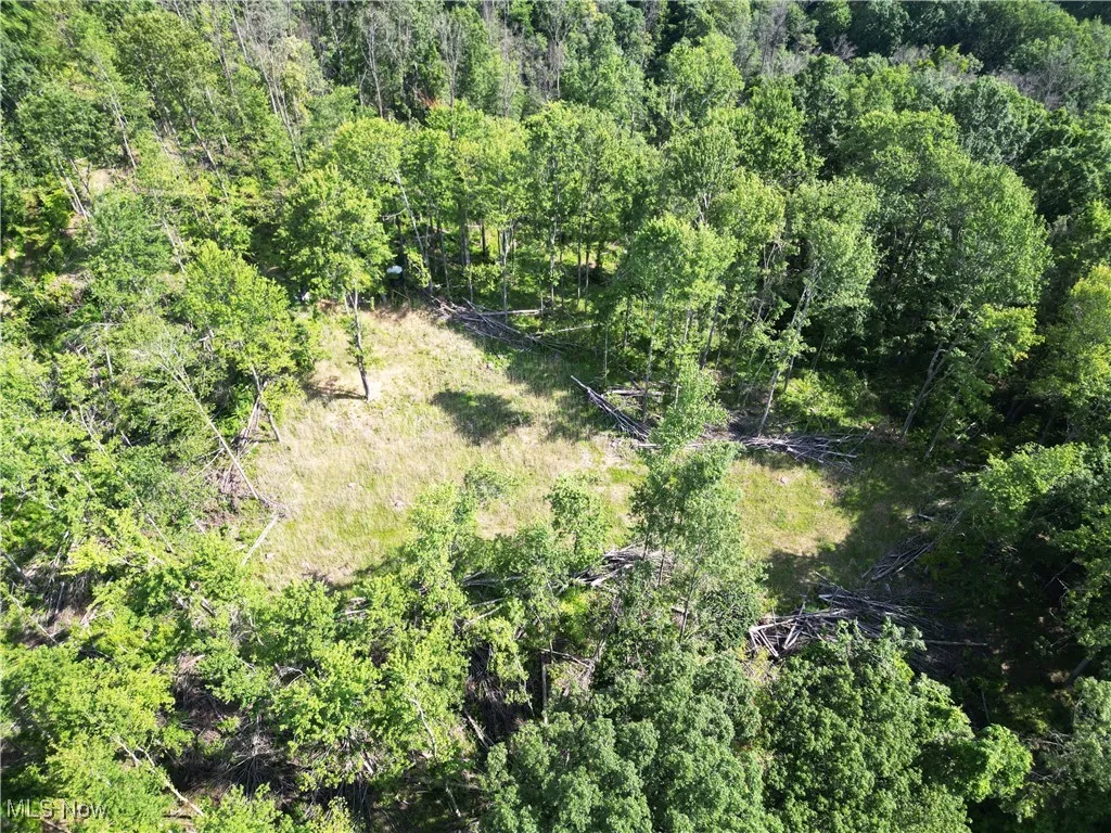 2115 Goss Fork Road, Whipple, Ohio,MLS Now Listing ID