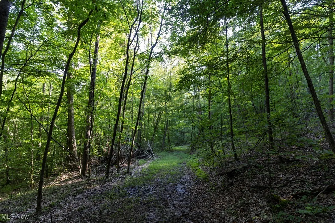 2115 Goss Fork Road, Whipple, Ohio,MLS Now Listing ID