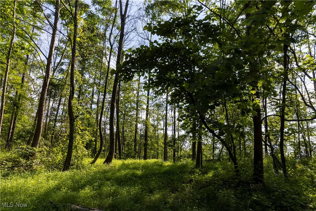 2115 Goss Fork Road, Whipple, Ohio,MLS Now Listing ID