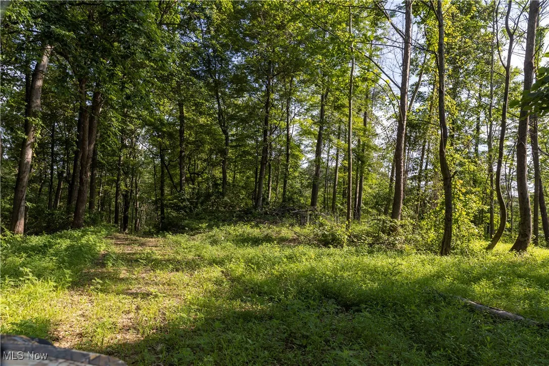 2115 Goss Fork Road, Whipple, Ohio,MLS Now Listing ID