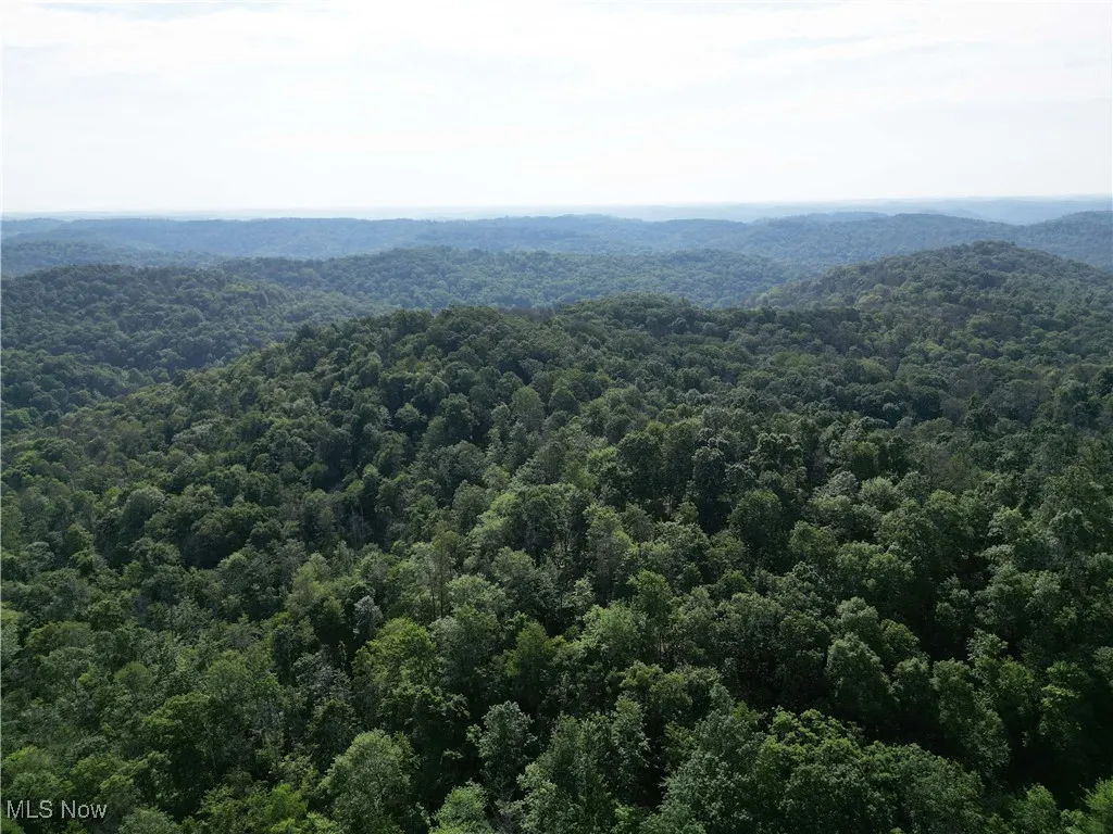 2115 Goss Fork Road, Whipple, Ohio,MLS Now Listing ID