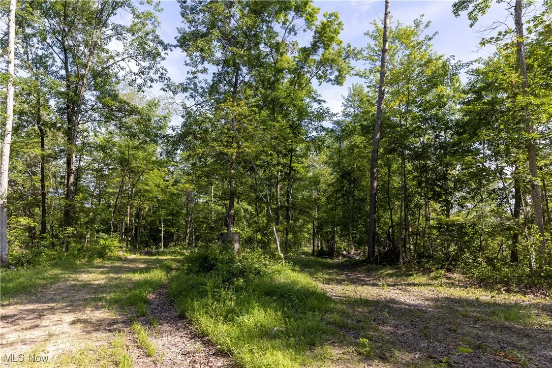 2115 Goss Fork Road, Whipple, Ohio,MLS Now Listing ID