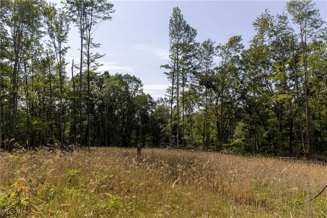 2115 Goss Fork Road, Whipple, Ohio,MLS Now Listing ID