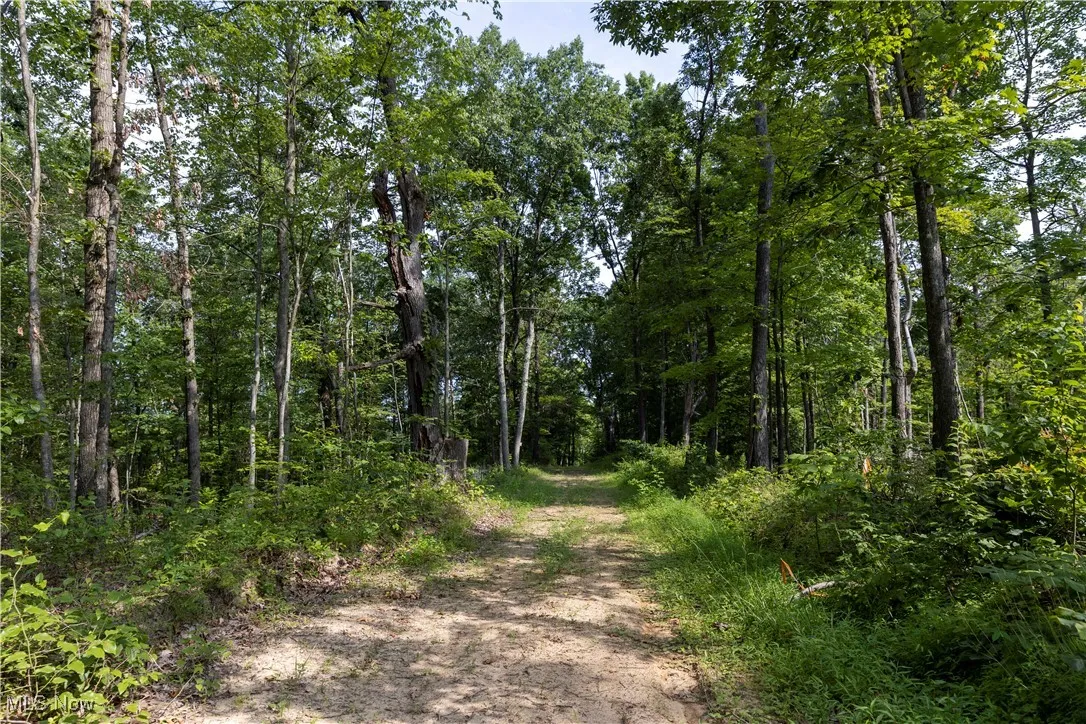 2115 Goss Fork Road, Whipple, Ohio,MLS Now Listing ID