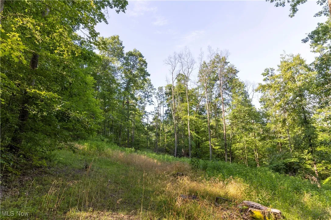 2115 Goss Fork Road, Whipple, Ohio,MLS Now Listing ID