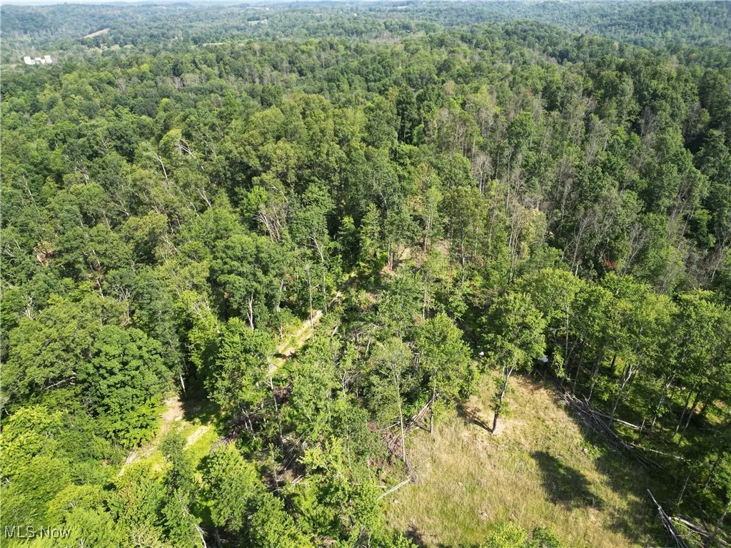 2115 Goss Fork Road, Whipple, Ohio,MLS Now Listing ID
