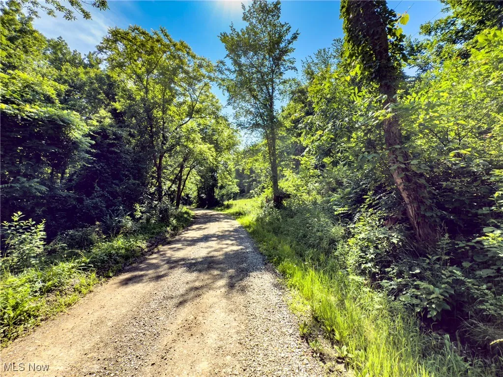 View of road featuring a view of trees