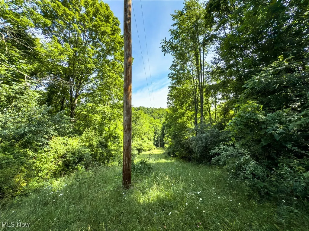 View of wooded area