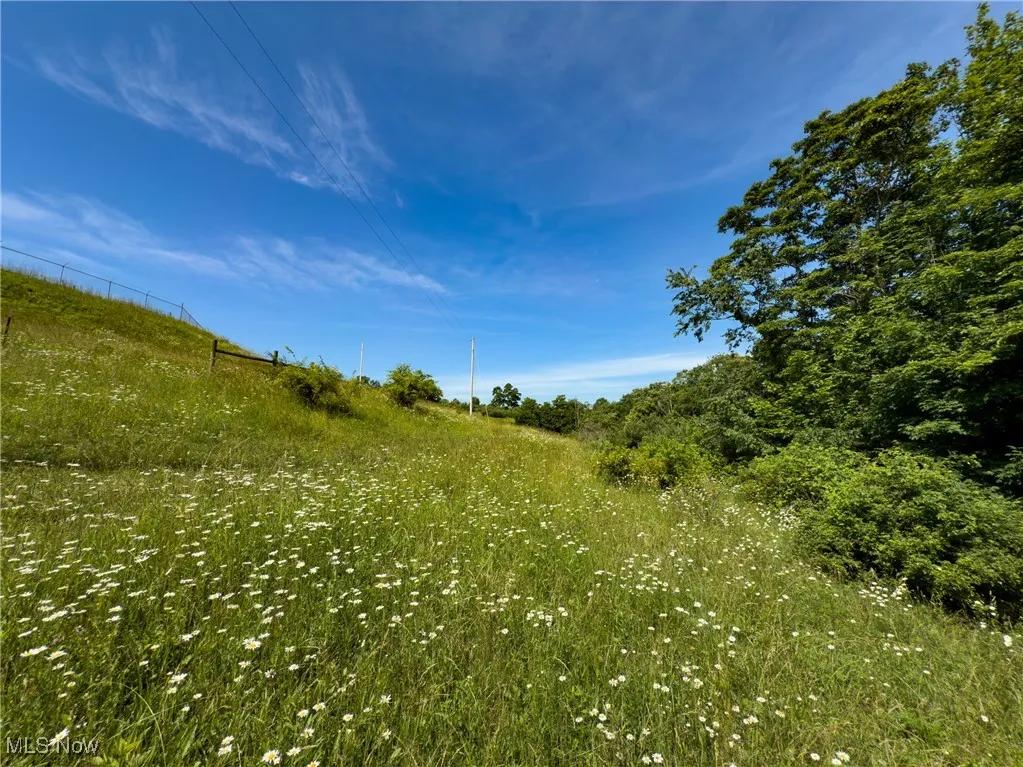 View of nature