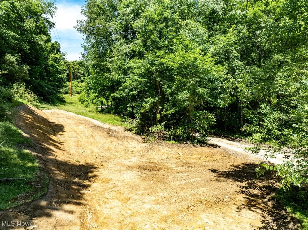 View of woods