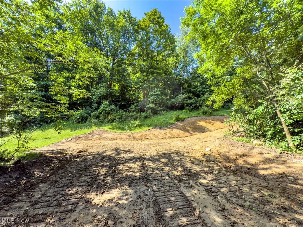 View of dirt / gravel road