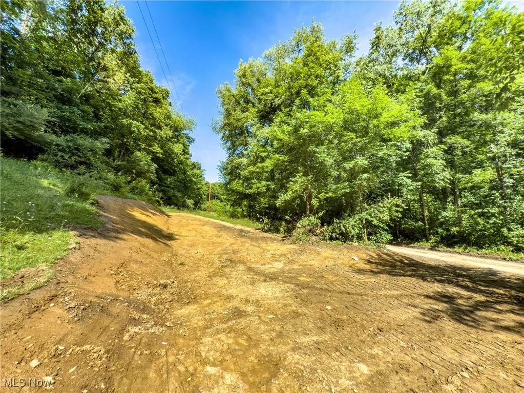 View of undeveloped land