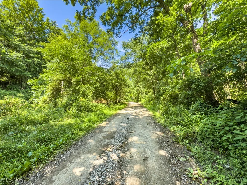 View of dirt / gravel road featuring a view of trees