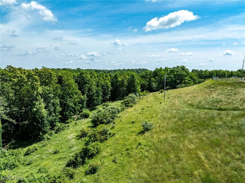 View of nature