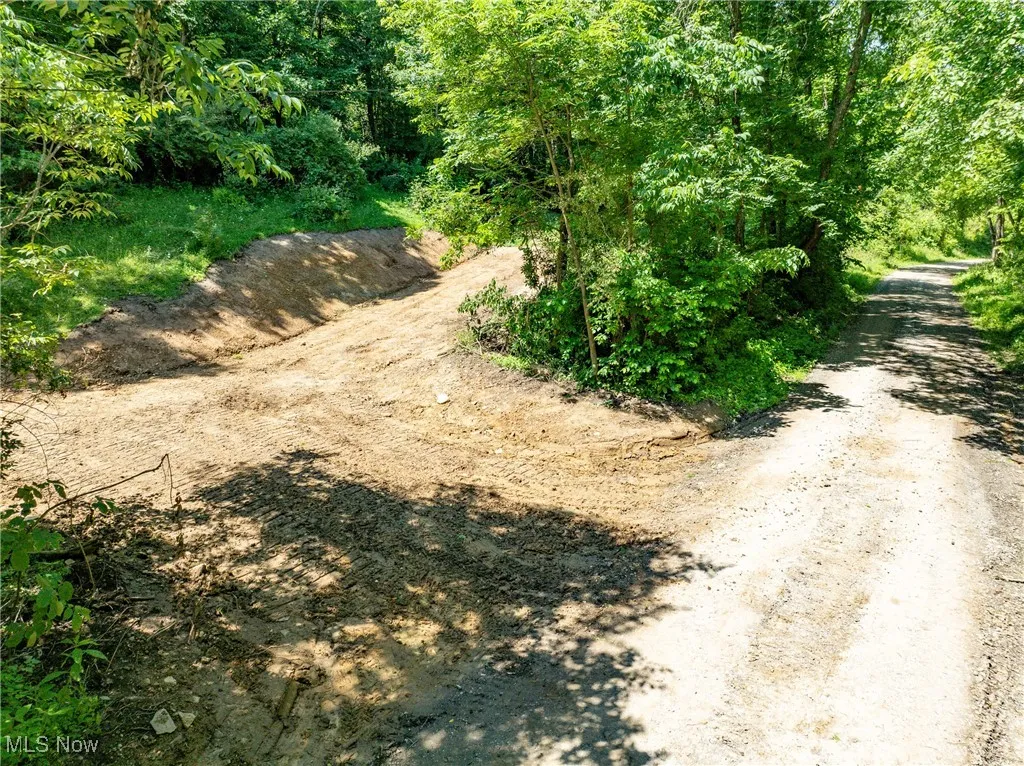 View of road featuring a wooded view