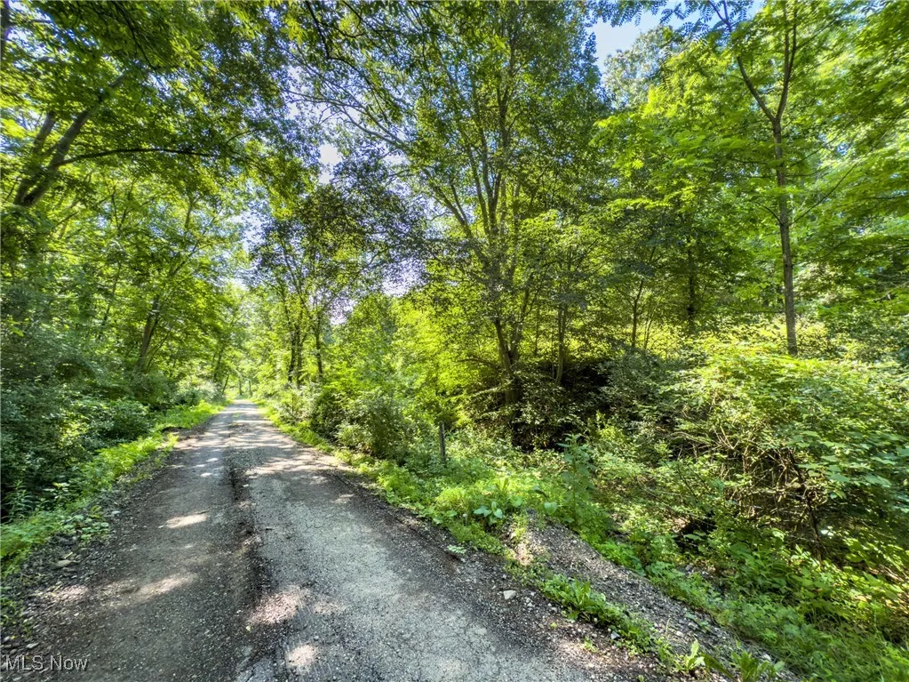 View of street with a forest view