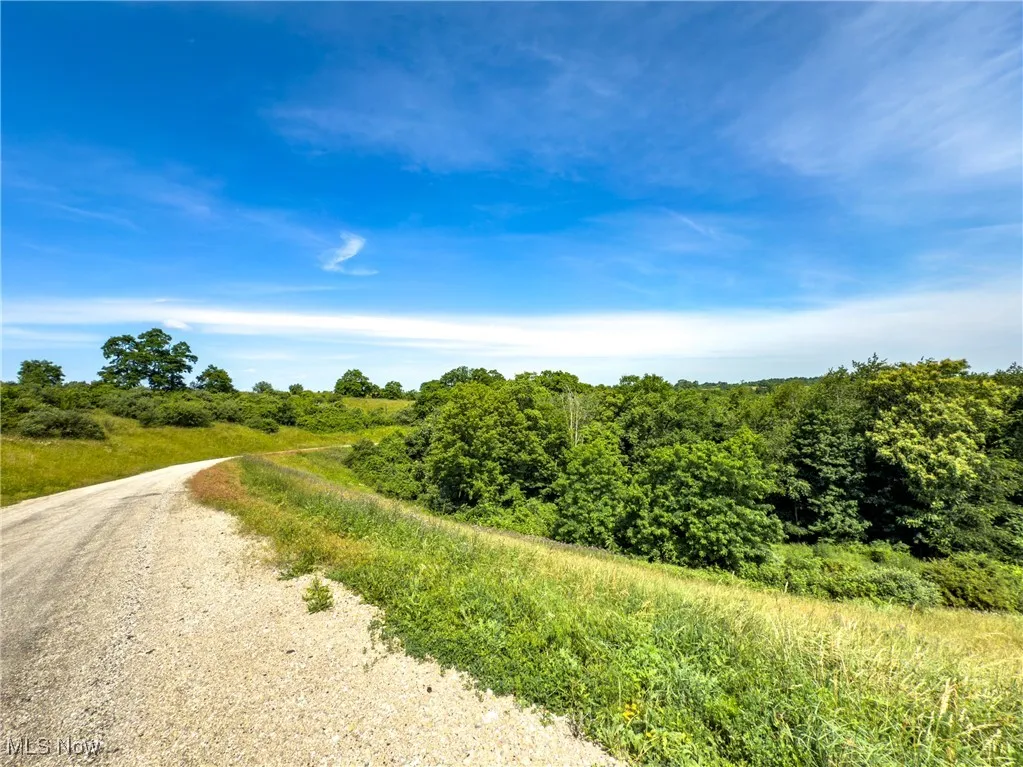 View of dirt / gravel road