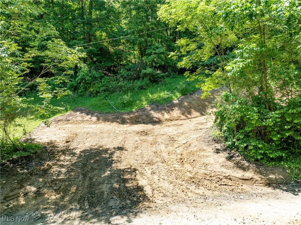 View of undeveloped land