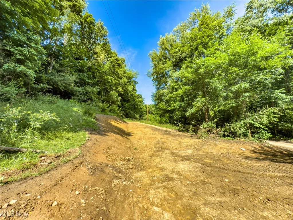 View of undeveloped land