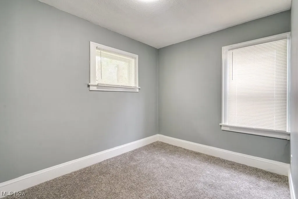 Unfurnished room with carpet and baseboards